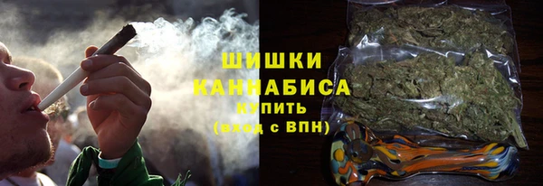 крисы Новодвинск