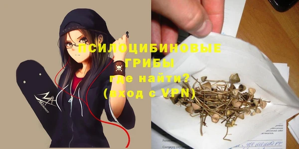 МДПВ Новокубанск