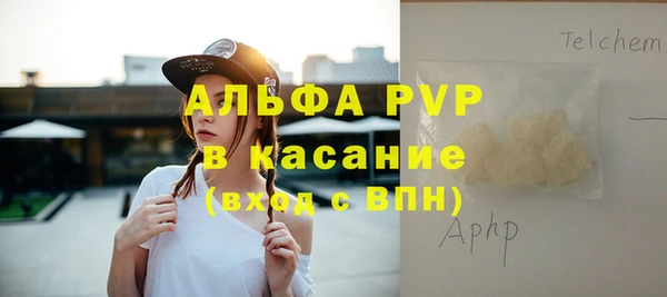 крисы Новодвинск